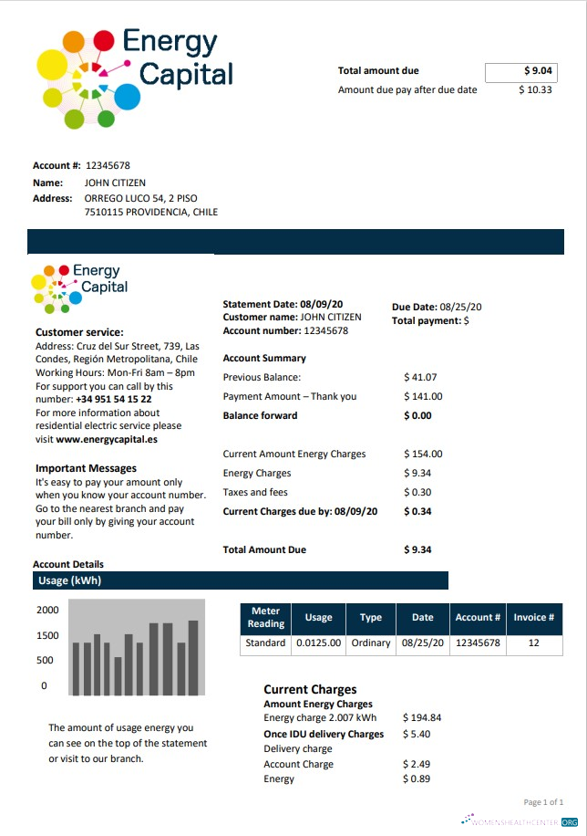 download download Chile Energy Capital utility bill
